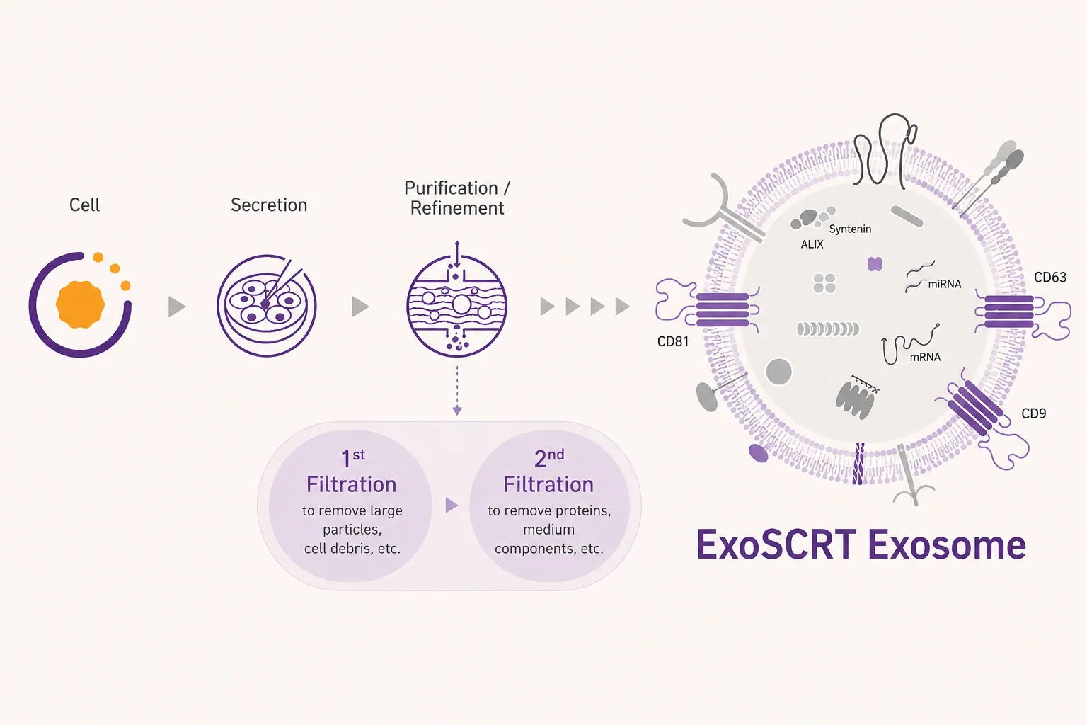 ExoSCRT精製技術