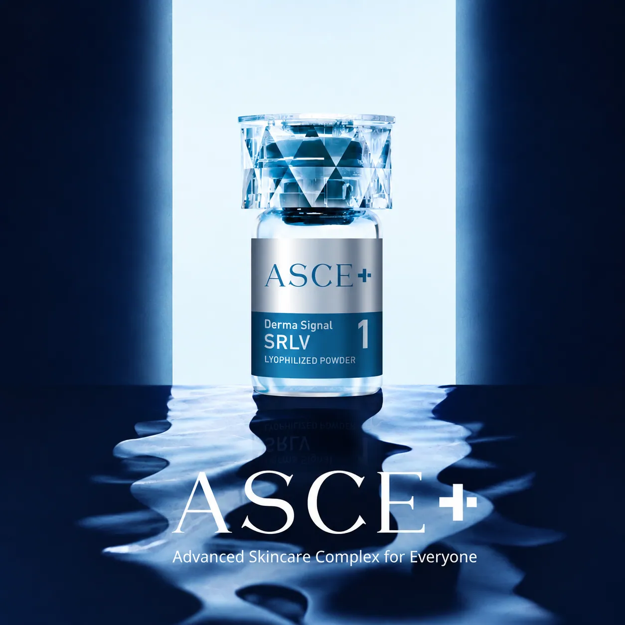 ASCE+ SRLV製品