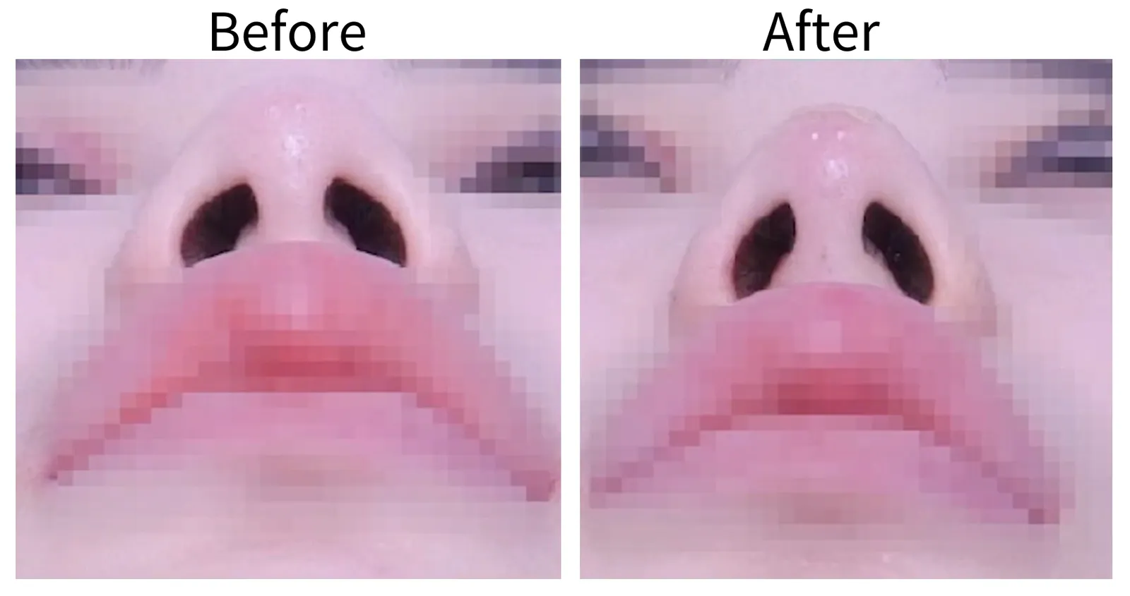 LSCO施術前後鼻先を下から見た比較写真