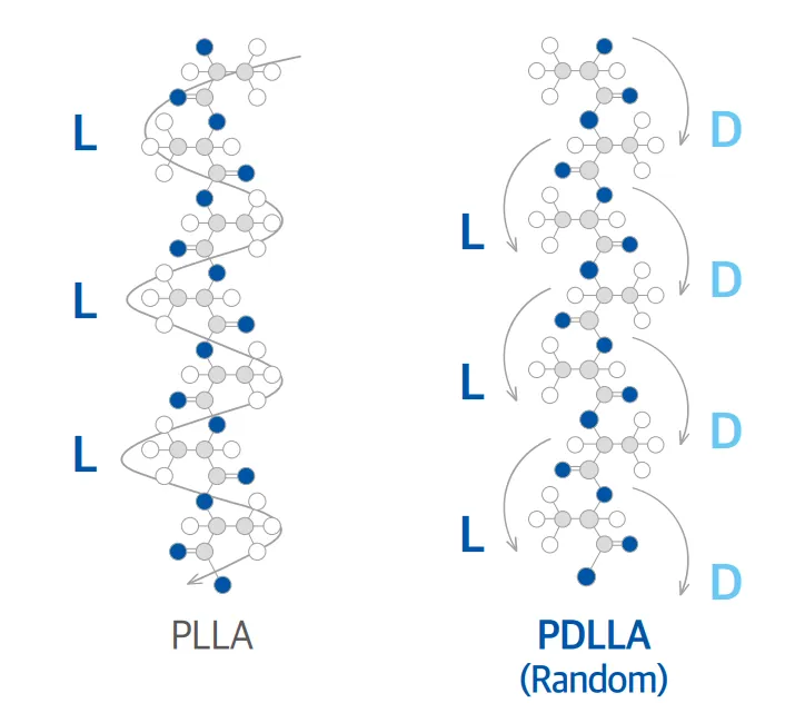 PDLLA粒子構造